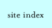 site index